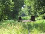 Cameron Lane Keokuk Junction Railway Crossing Looking Further South at bridge over Lamarsh Creek